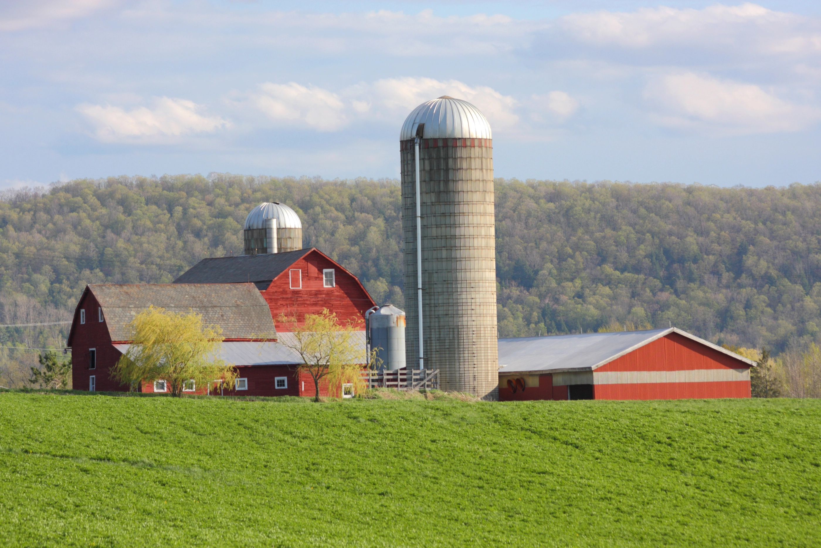 A red barn and silo with green hayfield on a spring day.