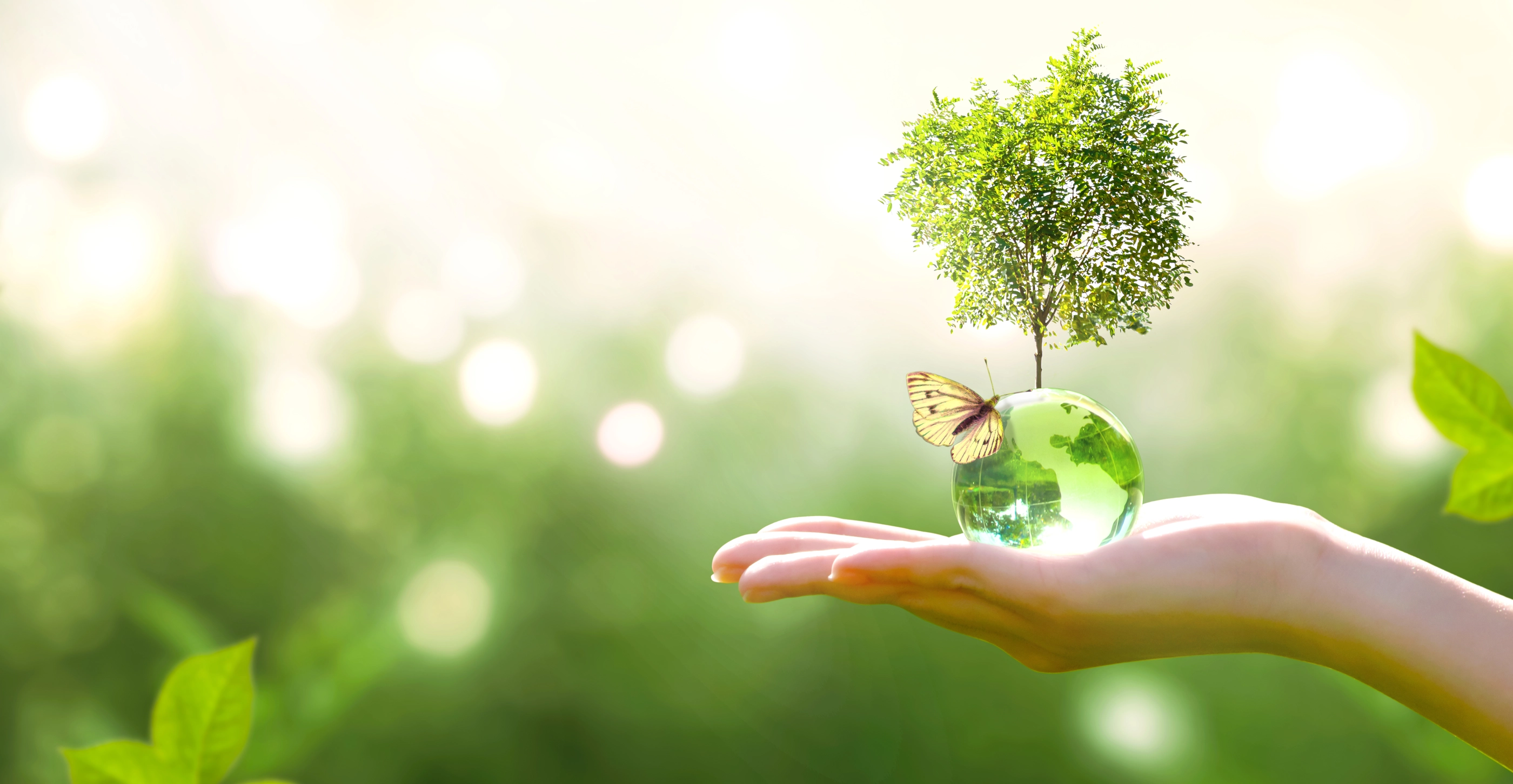 Earth crystal glass globe ball and growing tree in human hand, flying yellow butterfly on green sunny background. Saving environment, save clean planet, ecology concept. Card for World Earth Day.; Shutterstock ID 1500154991; purchase_order: LinkedInコンテンツ; job: ; client: ; other: 